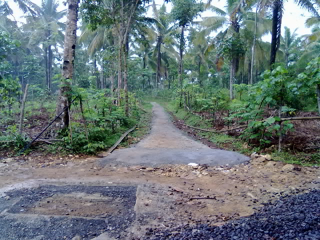 Jalan menuju pasir kohkol depan poskamling rt 07